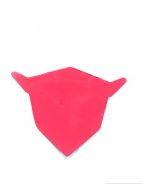 Taıeg Arma - Görsel 2