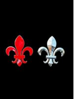 Çiçek Arma - Görsel 2