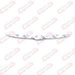 Klasik Thunderbırd Kuş - Görsel 2