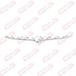 Yeşil Thunderbird Kuş - Görsel 2